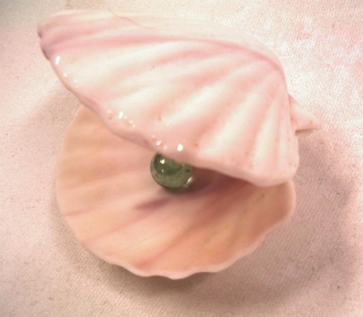 St.Jacobsschelp Wit/Lila